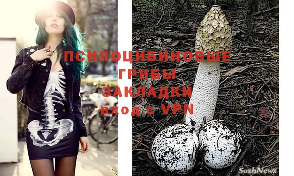 мескалин Струнино