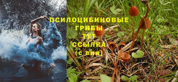 MDMA Сосновка