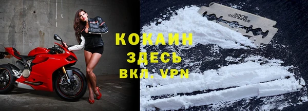 стафф Сосновоборск